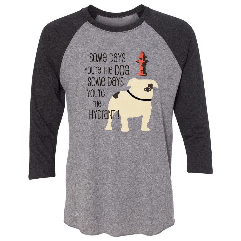 Some Days You're The Dog Some Days Hydrant 3/4 Sleevee Raglan Tee Graph Tee - Zexpa Apparel - 1