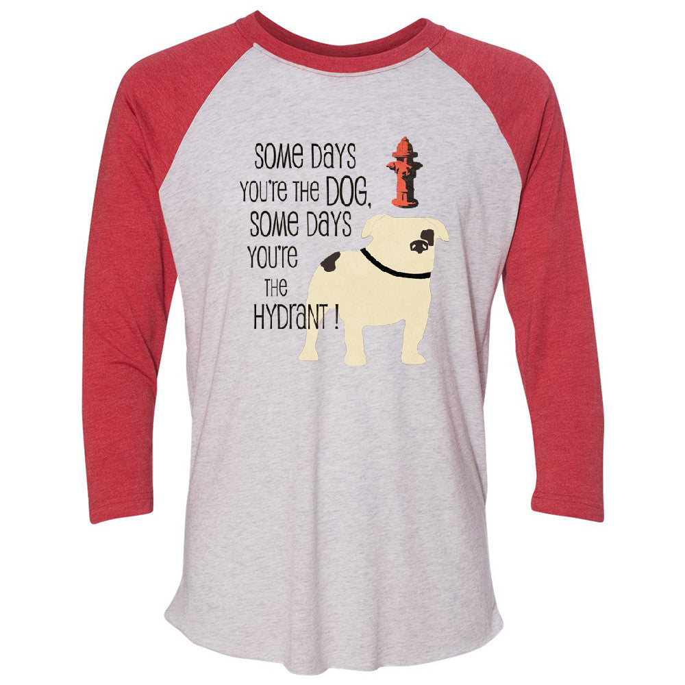 Some Days You're The Dog Some Days Hydrant 3/4 Sleevee Raglan Tee Graph Tee - Zexpa Apparel - 2