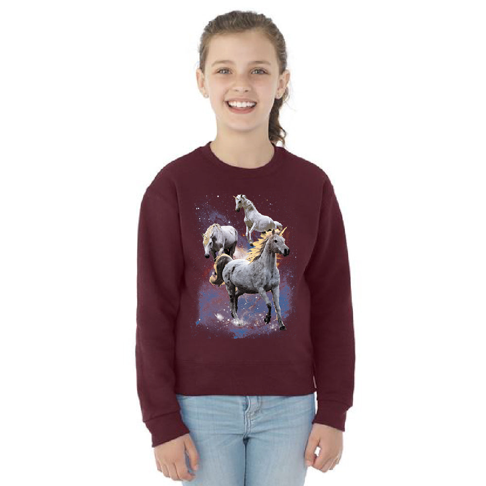 Space Phenomenon Unicorns Youth Crewneck Horses with Spiraling Horn SweatShirt 