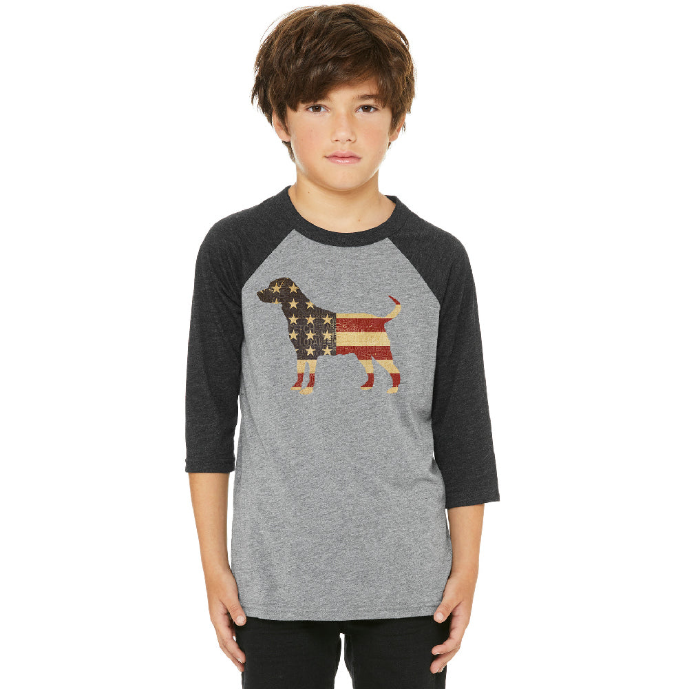 Patriotic American Flag Dog Silhouette Youth Raglan 4th of July Jersey 