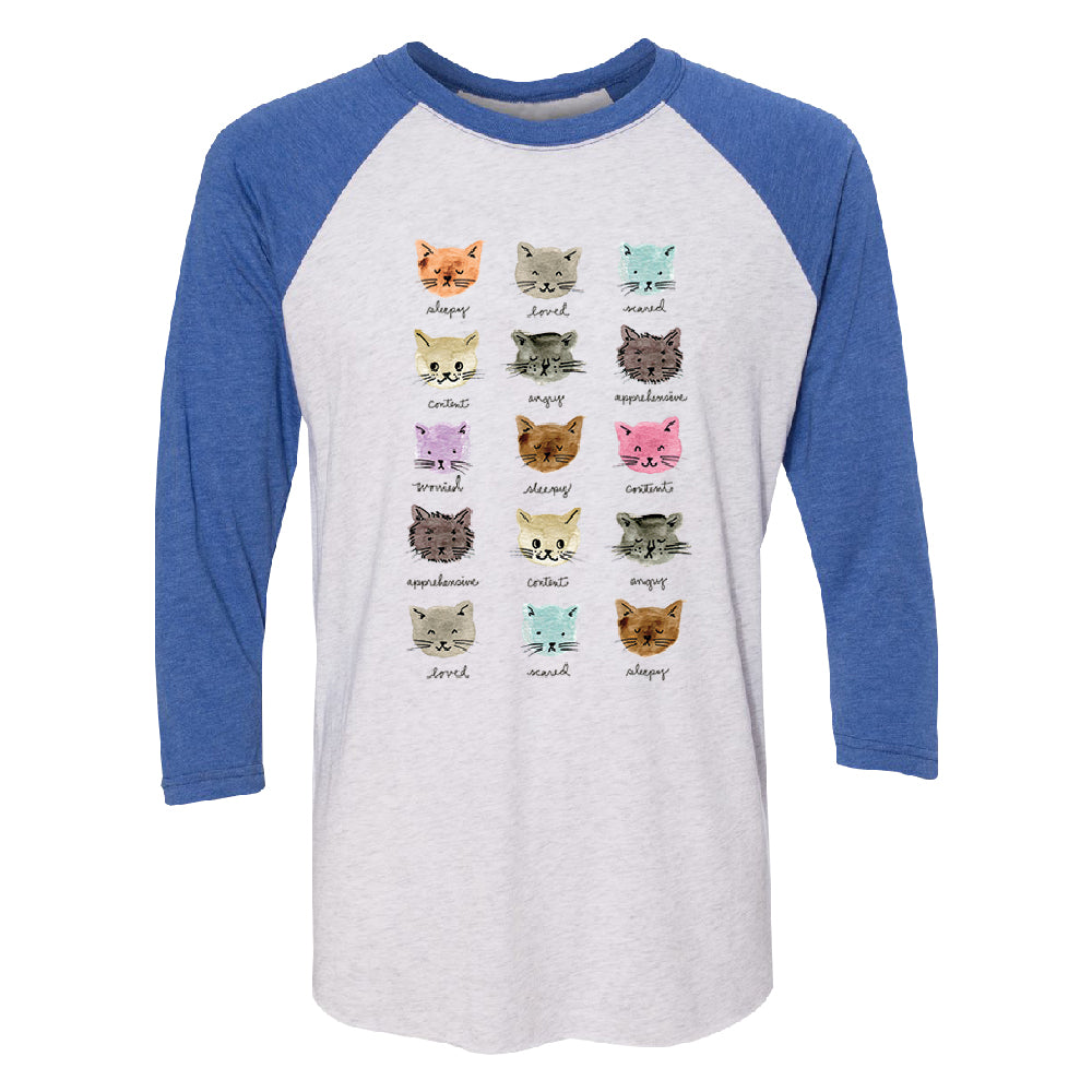 Cute Rainbow Moody Kittens 3/4 Raglan Tee 